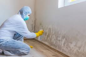 Professional Mold Removal Services in New London, TX